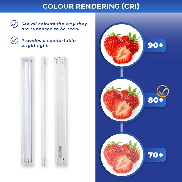 LED Shop Light