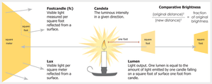 Lighting Basics: Measuring Light