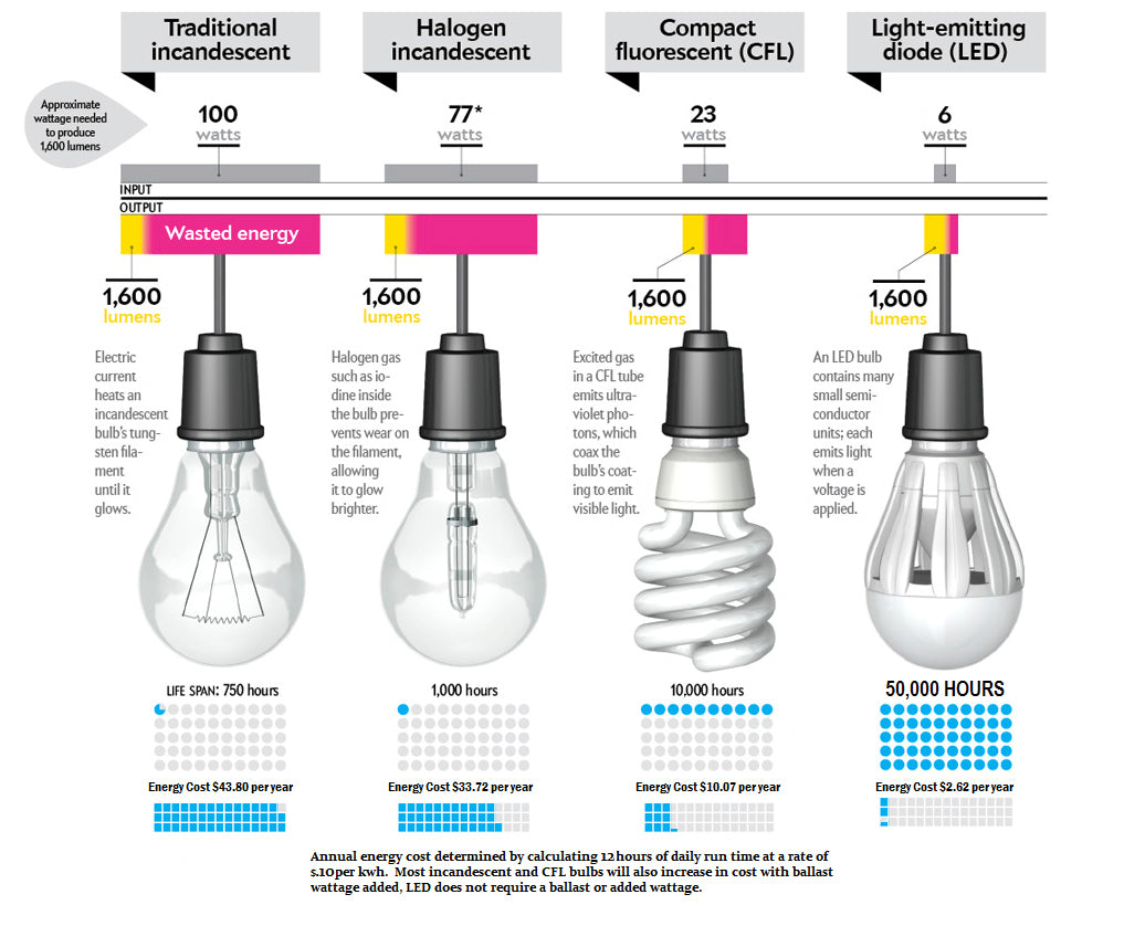 10 Reasons to Switch to LED Light Bulbs