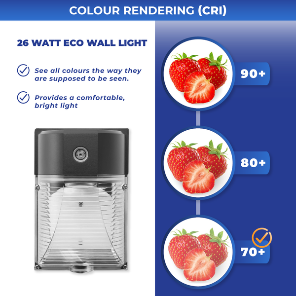 RAB Design 26 Watt LED Outdoor Wall Light